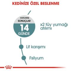 Royal Canin Hairball Tüy Yumağı İçin Kedi Maması 34 2 kg