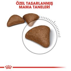 Royal Canin Hairball Tüy Yumağı İçin Kedi Maması 34 2 kg