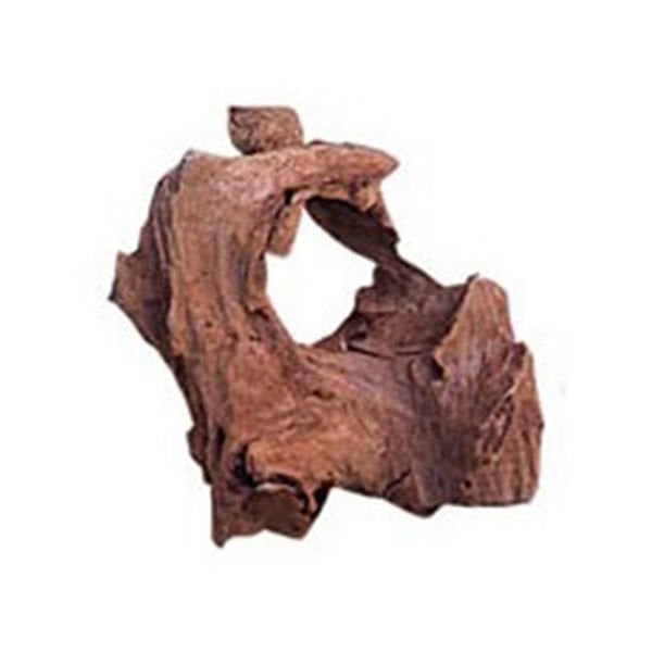 Kw Zone Mangov Kökü 19-23 Cm Small
