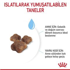 Royal Canin Mother & Baby Cat 34 Anne ve Yavru Kedi Maması 2 kg
