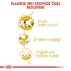 Royal Canin Siamese 38 Siyam Kedisine Özel Yetişkin Kedi Maması 2 kg