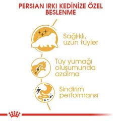 Royal Canin Persian 30 İran Kedilerine Özel Yetişkin Kedi Maması 400 gr