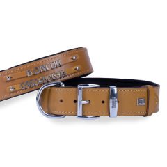 Doggie Konfor Deri Çift İsimlikli Köpek Boyun Tasması Medium Camel 4x52-60 Cm