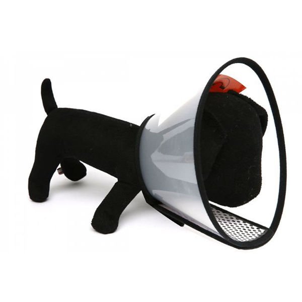 Nunbell Köpek Elizabet Yakalık 74 cm No 1