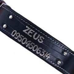 Doggie Konfor Deri Çift İsimlikli Köpek Boyun Tasması Small Siyah 4x47-55 Cm