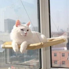 Wondi Vantuzlu Cama Asılan Kedi Yatağı Minderi