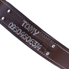 Doggie Konfor Deri Çift İsimlikli Köpek Boyun Tasması Small Kahverengi 4x47-55 Cm