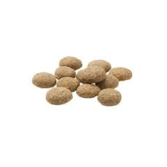 Mera Insect Larva Proteinli Tahılsız Yetişkin Köpek Maması 12.5 Kg