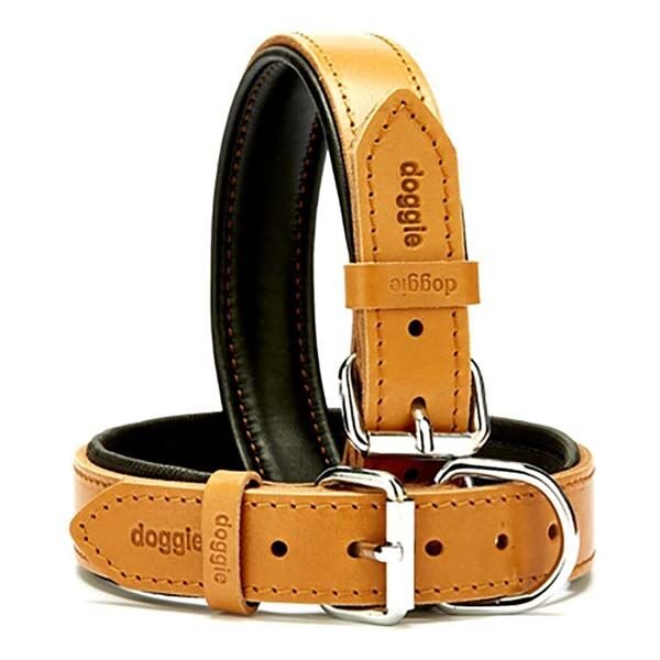 Doggie Fırstclass Köpek Deri Boyun Tasması Medium Camel 3x42-50 Cm