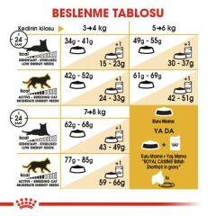 Royal Canin British Shorthair İçin Özel Irk Yetişkin Kedi Maması 4 kg