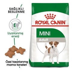 Royal Canin Mini Adult Küçük Irk Yetişkin Köpek Maması 2 Kg