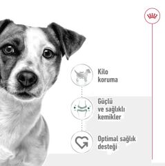 Royal Canin Mini Adult Küçük Irk Yetişkin Köpek Maması 2 Kg