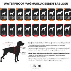 Lindo Dogs Aqua İçi Fileli Su Geçirmez Köpek Yağmurluğu Mavi Beden 3