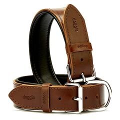 Doggie Fırstclass Köpek Deri Boyun Tasması Medium Kahverengi 4x52-60 Cm
