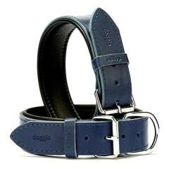 Doggie Firstclass Deri Köpek Boyun Tasması Medium Mavi 4x52-60 Cm