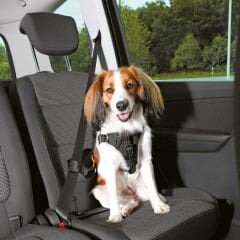 Trixie Köpek Emniyet Kemeri ve Göğüs Tasması Siyah 40-55 Cm