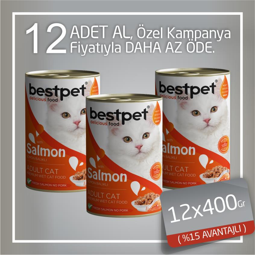 Bestpet Somonlu Jöleli Yetişkin Kedi Konservesi 12x400 Gr