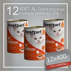 Bestpet Somonlu Jöleli Yetişkin Kedi Konservesi 12x400 Gr