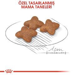 Royal Canin Mini Adult Küçük Irk Yetişkin Köpek Maması 2 kg