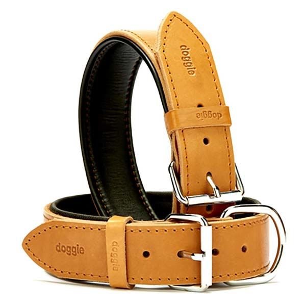 Doggie Fırstclass Köpek Deri Boyun Tasması Large Camel 4x57-65 Cm
