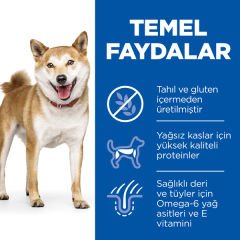 Hills Tahılsız Ton Balıklı Yetişkin Köpek Maması 2.5 Kg