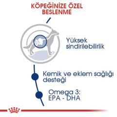 Royal Canin Maxi Adult Büyük Irk Yetişkin Köpek Maması 15 kg