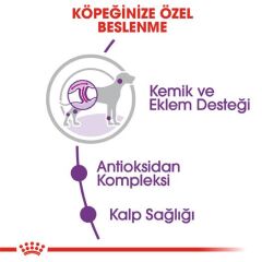 Royal Canin Giant Dev Irk Yetişkin Köpek Maması 15 kg