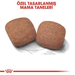 Royal Canin Giant Dev Irk Yetişkin Köpek Maması 15 kg