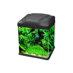 Ebo B238 Mini Fanus Balık Akvaryumu 39x26x44.5 Cm Siyah