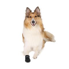 Trixie Köpek Çorabı Neopren 2 Adet Siyah Large