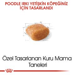 Royal Canin Poodle Yetişkin Köpek Maması 3 kg