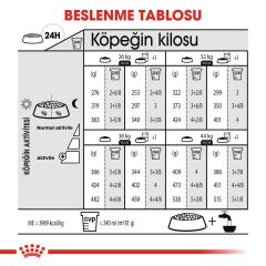 Royal Canin CCN Dermacomfort Maxi Büyük Irk Yetişkin Köpek Maması 12 kg
