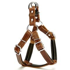 Doggie Fırstclass Deri Ronın Köpek Göğüs Tasması Xsmall Kahverengi 1,5x35-45 Cm