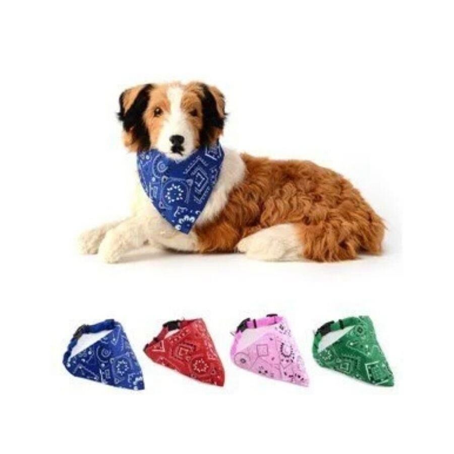 Lionpet Fularlı Köpek Boyun Tasması Karışık Renk M/L