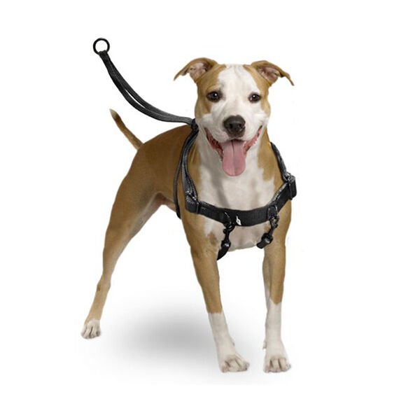Karlie Easy Walker Köpek Göğüs Tasması Medium 31x39 Cm