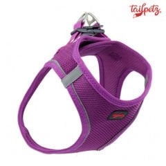 Tailpetz Air Mesh Köpek Göğüs Tasması (L) Mor