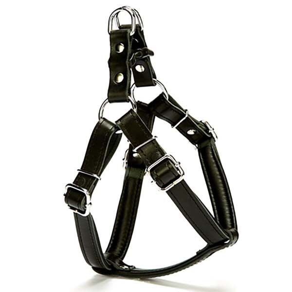 Doggie Fırstclass Deri Ronın Köpek Göğüs Tasması Medium Siyah 2x45-55 Cm