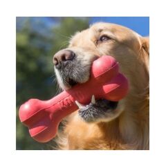 Kong Goodie Bone Kemik Şeklinde Çok Amaçlı Köpek Oyuncağı L