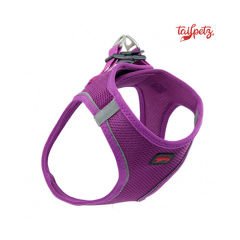 Tailpetz Air Mesh Köpek Göğüs Tasması (3XS) Mor