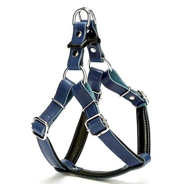Doggie Fırstclass Deri Ronın Köpek Göğüs Tasması Medium Mavi 2x45-55 Cm