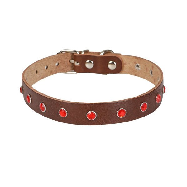 Cattie Gerçek Deriden Taşlı Kedi Boyun Tasması Xxlarge Kahverengi 1.5x27-33 Cm