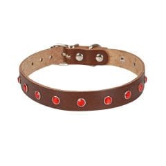 Cattie Gerçek Deriden Taşlı Kedi Boyun Tasması Xxlarge Kahverengi 1.5x27-33 Cm