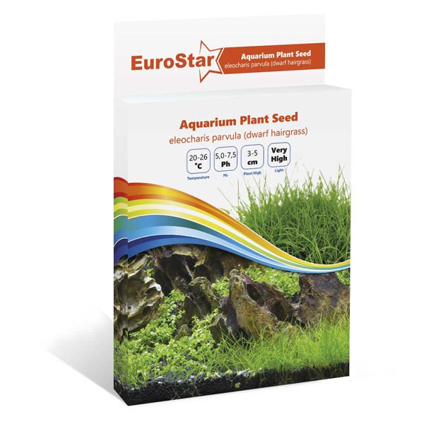 Euro Star Eleocharis Parvula Akvaryum Bitki Tohumu 3-5 Cm