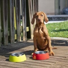 Ferplast Jolie Kedi ve Köpekler için Çelik Mama ve Su Kabı Siyah 850 ml M