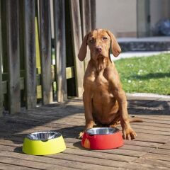 Ferplast Jolie Kedi ve Köpekler için Çelik Mama ve Su Kabı Gri 850 ml M