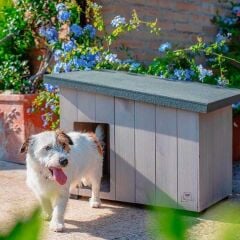 Ferplast Argo 60 Ahşap Köpek Kulübesi