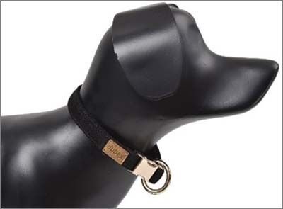 Dubex G-Dog Köpek Boyun Tasması Siyah M-L 35-56 Cm 20 Mm