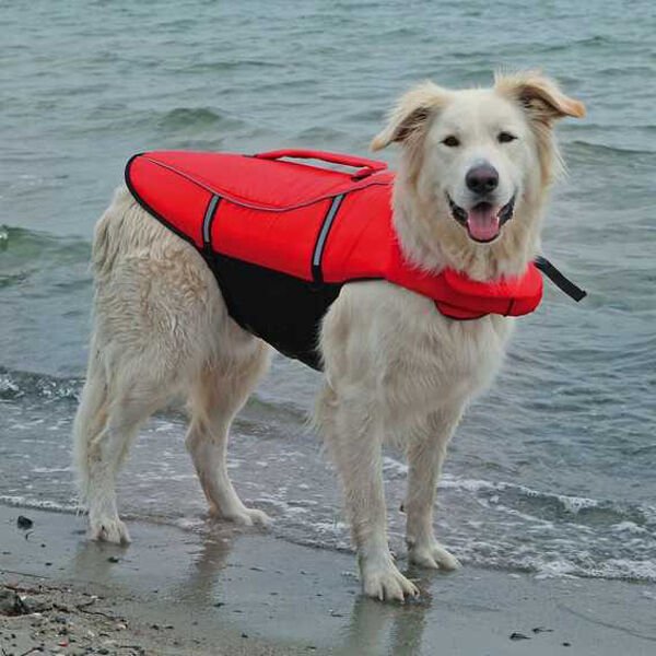 Trixie Köpek Can Yeleği Xlarge 65 Cm