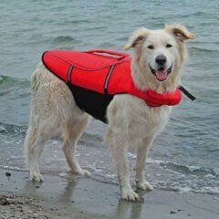 Trixie Köpek Can Yeleği Xlarge 65 Cm