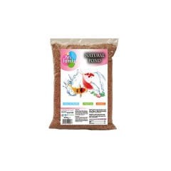 Pets Family Pond Yem Natural Balık Yemi 1 Kg